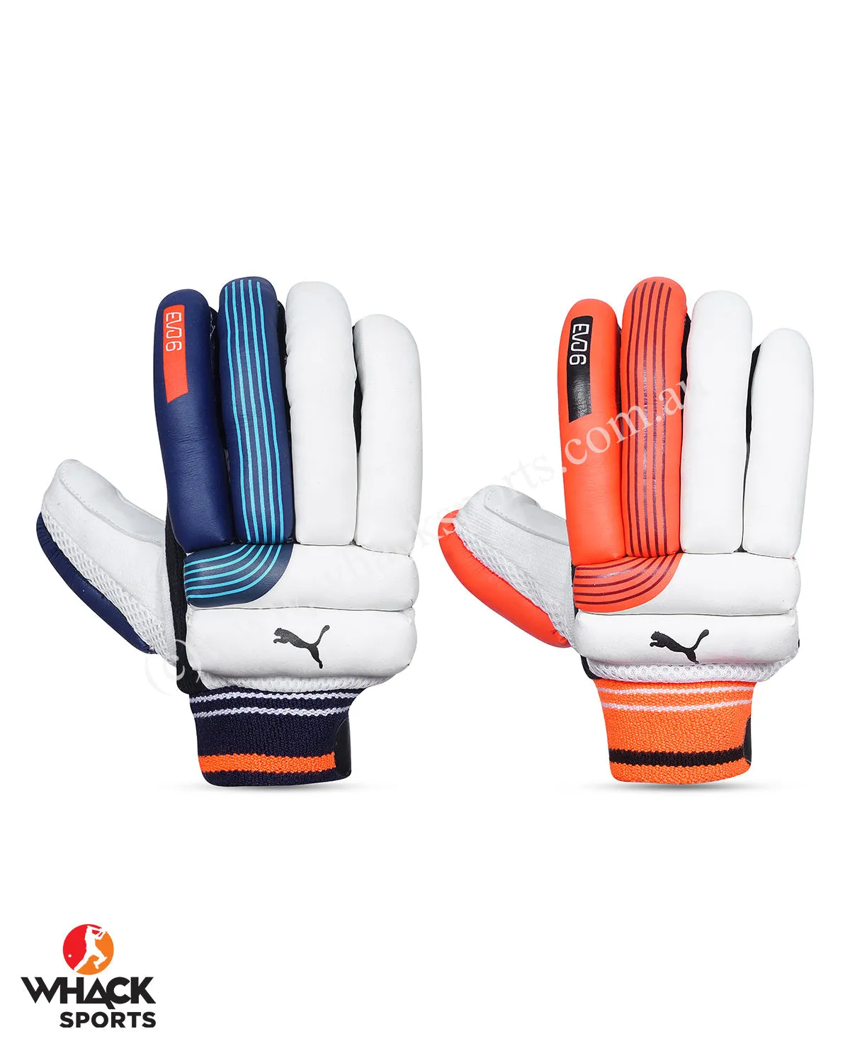 Puma Evo 6 Cricket Batting Gloves - Boys/Junior