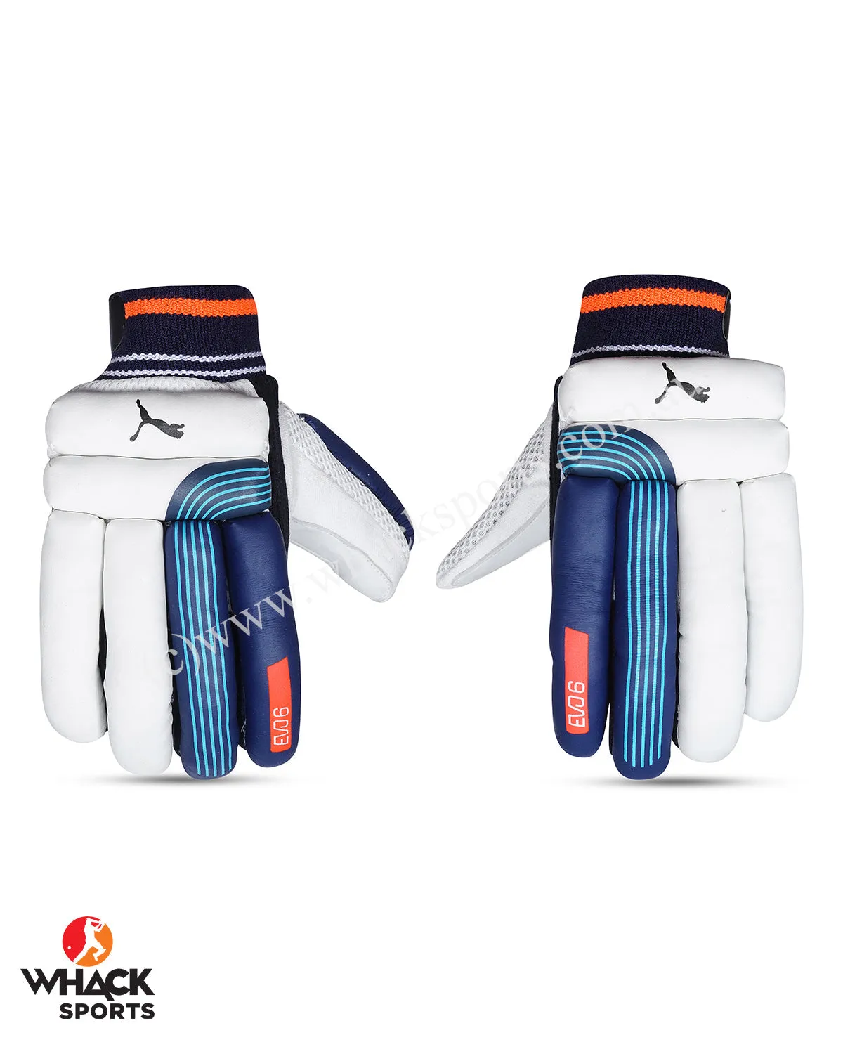 Puma Evo 6 Cricket Batting Gloves - Boys/Junior
