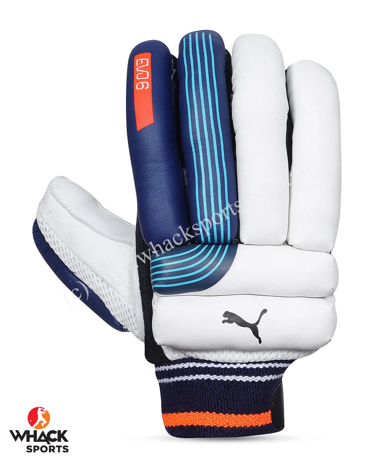 Puma Evo 6 Cricket Batting Gloves - Boys/Junior