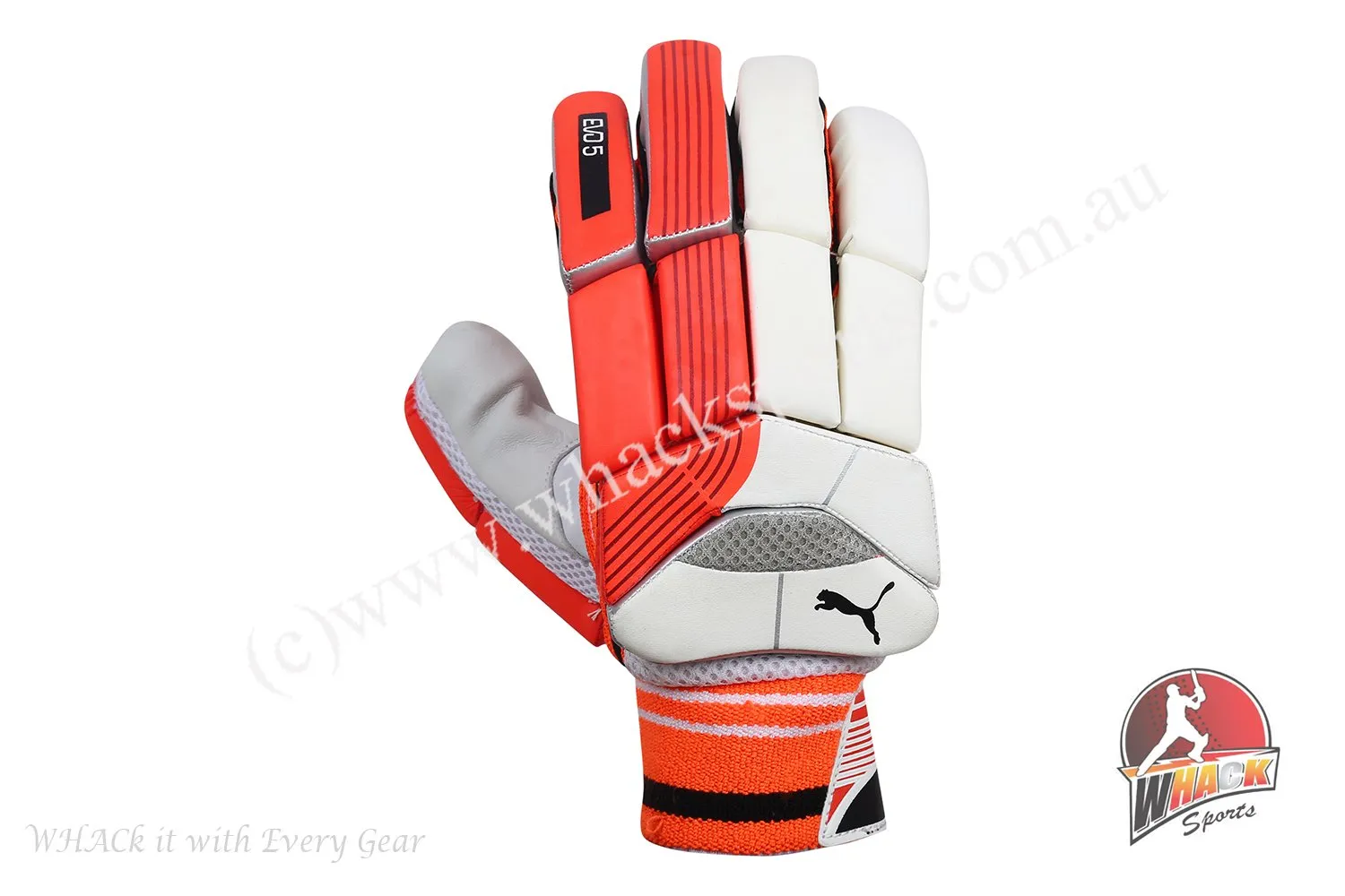 Puma Evo Power 5 Cricket Batting Gloves - Small Boys/Junior